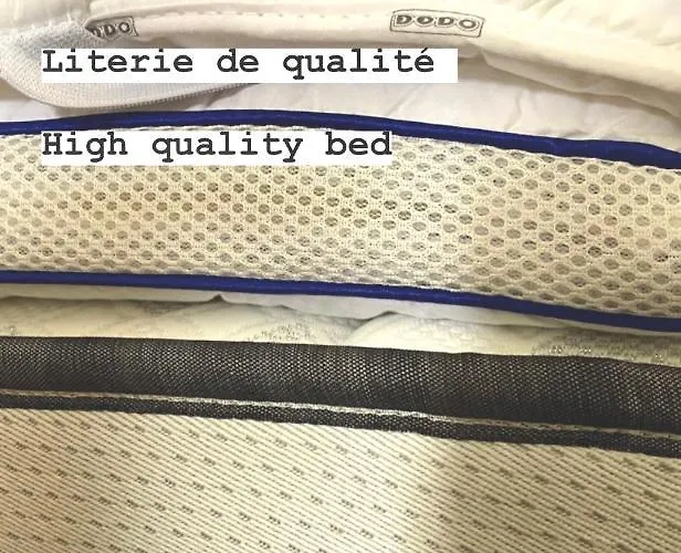 Les Suites 1902, Et Jardin, Centre Petite Venise Pensjonat Colmar